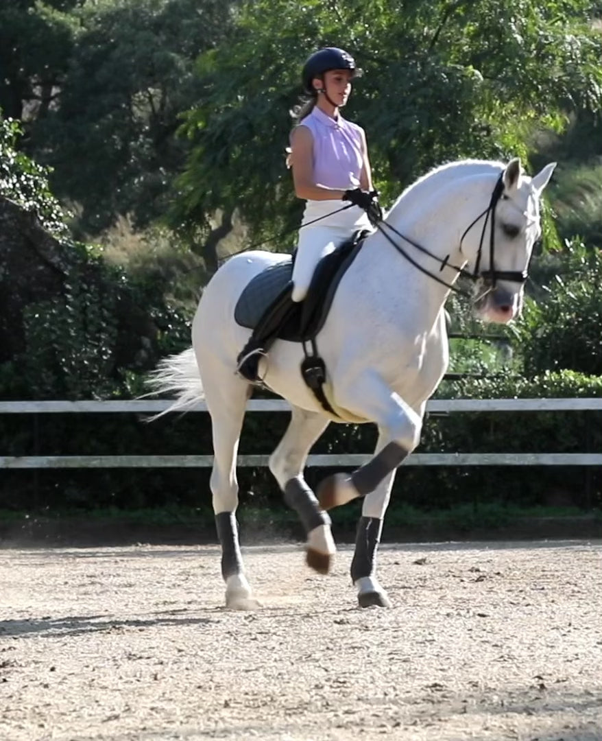 Young woman riding a dressage session on her white horse on an outside arena