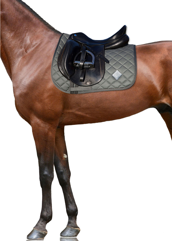 Brown horse with a black dressage saddle and green saddle pad