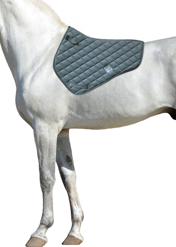 White horse with a green jump saddle bad 